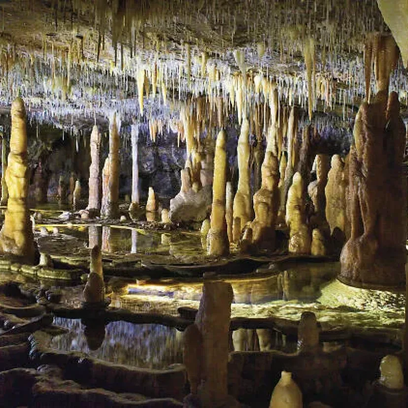 Limestone formations inside the Buchan Caves