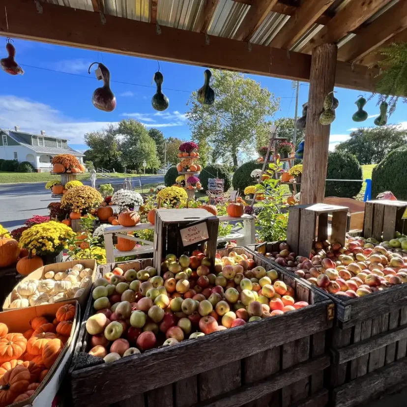 A local produce market stall stacked with fruit and vegetables