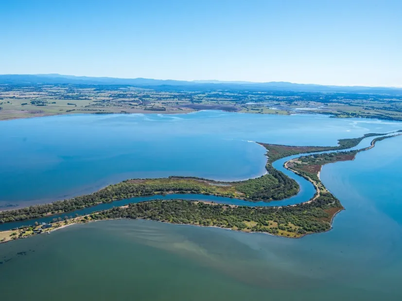 The Mitchell River silt jetties reaching out into Lake King from the air