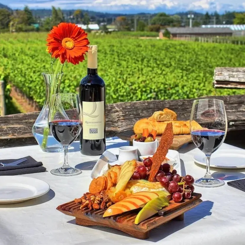 A cellar door lunch laid out on a table looking over the vines